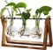 Plants Propagation Stations Hydroponic Plant Transparent Vases Pot Home Decor